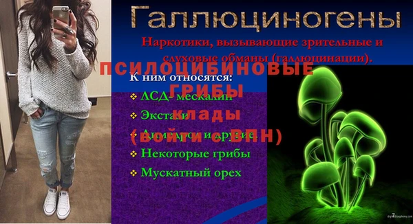 мет Армянск